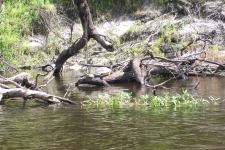 peace-river-may2013-039