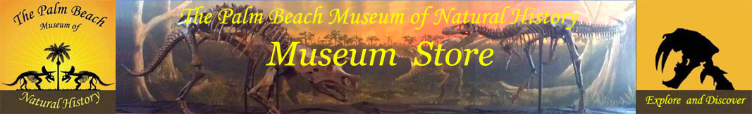 The Palm Beach Museum of Natural History