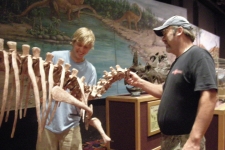 dinoshore-exhibit-016