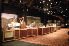 dinoshore-exhibit-026