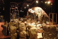 dinoshore-exhibit-027