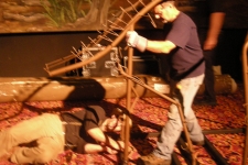 dinoshore-exhibit-225