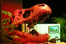dinoshore-exhibit-300