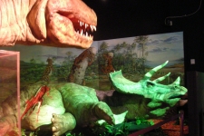 dinoshore-exhibit-302