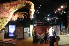 dinoshore-exhibit-305