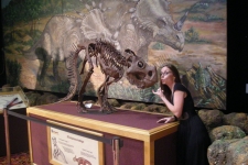 dinoshore-exhibit-331