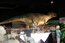 dinoshore-exhibit-340