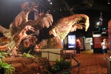 dinoshore-exhibit-341