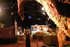 dinoshore-exhibit-346