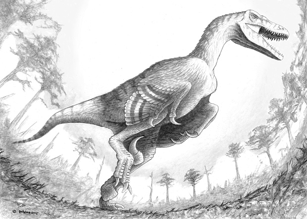 Dakotaraptor dinosaur