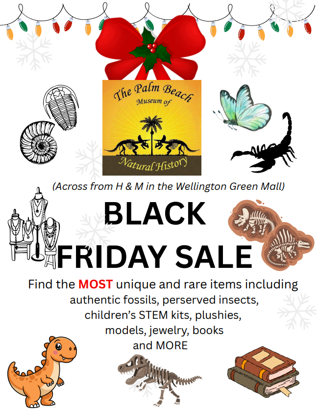 Flyer Black Friday 25 copy